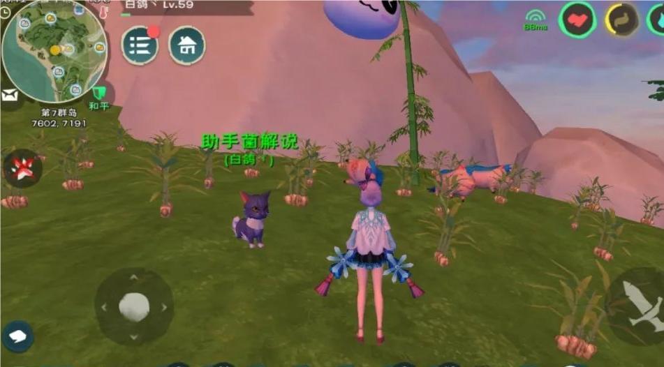 创造与魔法植物分布有哪些