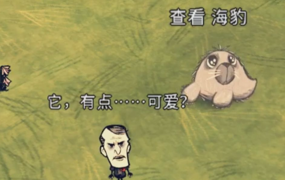 饥荒海难小海豹怎么养