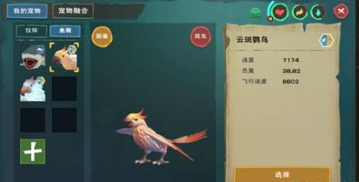 创造与魔法云斑鹦鸟在哪里