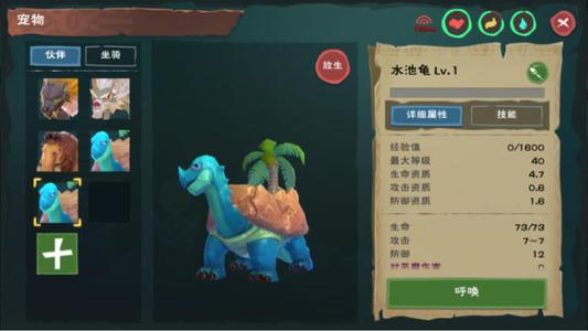 创造与魔法元素精华龟有什么用