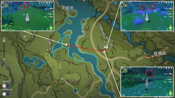 原神须弥草晶蝶收集路线在哪 原神须弥草晶蝶收集路线在哪