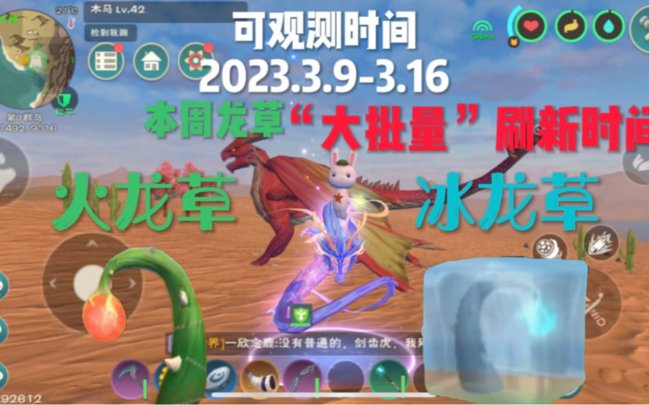 创造与魔法龙草种子怎么获得