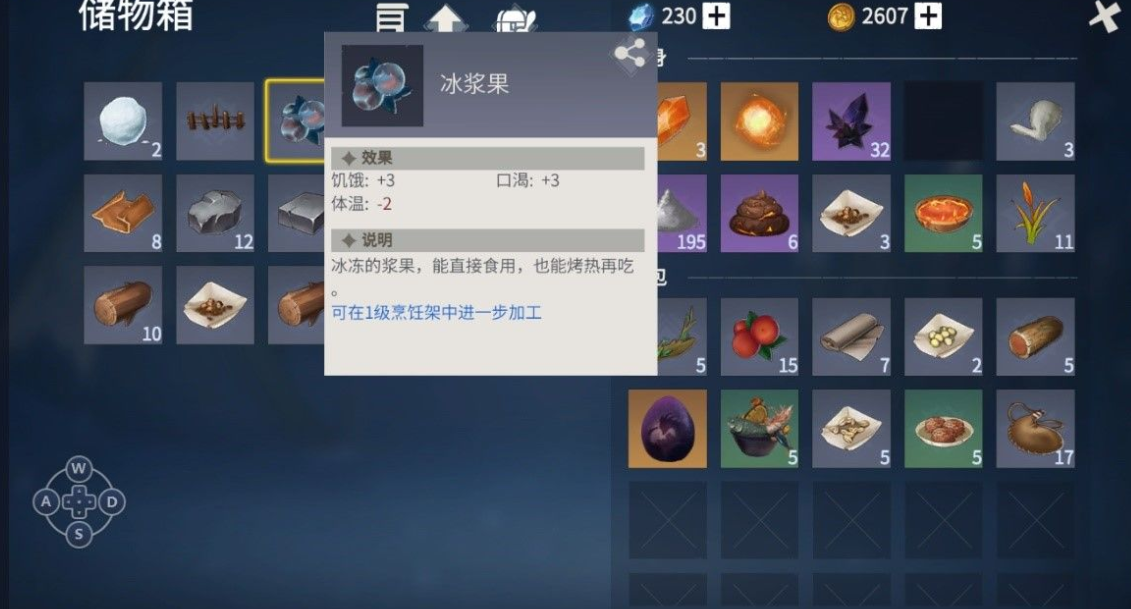 冰原守卫者多余的背包能送人吗