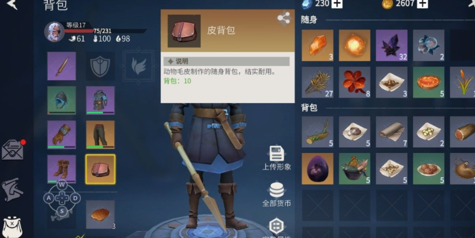 冰原守卫者多余的背包能送人吗