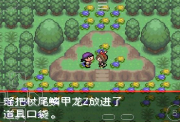 口袋妖怪二周目大吾的别墅怎么进