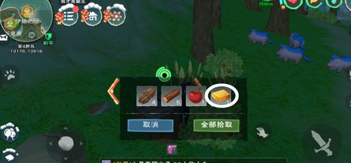 创造与魔法熊大饲料怎么做
