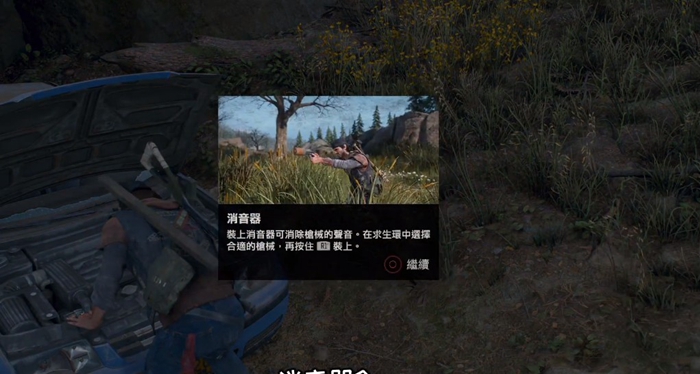 往日不再怎么引诱小狗