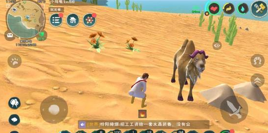 创造与魔法骆驼饲料怎么获得  骆驼如何捕捉