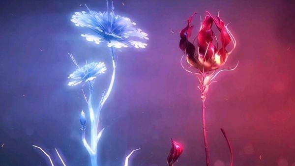 斗罗大陆中草药有哪些 灵芝有什么用