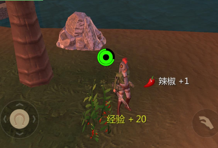 创造与魔法怎么捕捉 捕捉流程介绍
