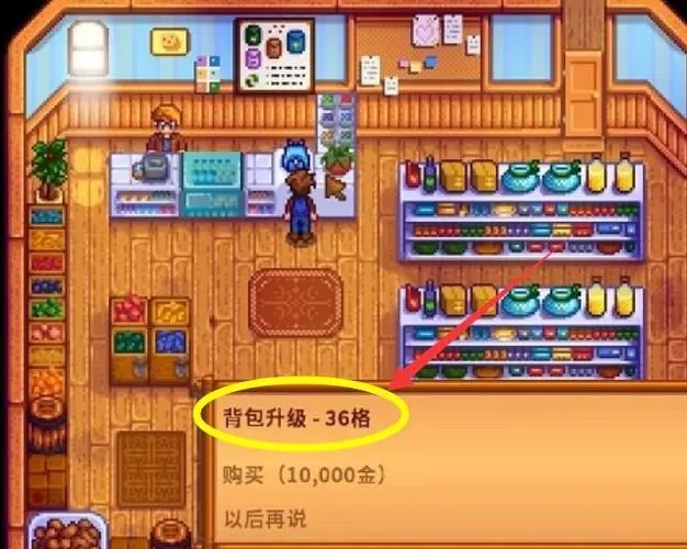 星露谷物语齐先生的商店买什么 商店卖什么东西