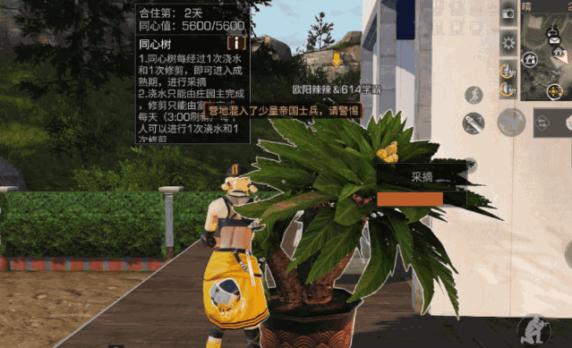 明日之后同心树在哪里