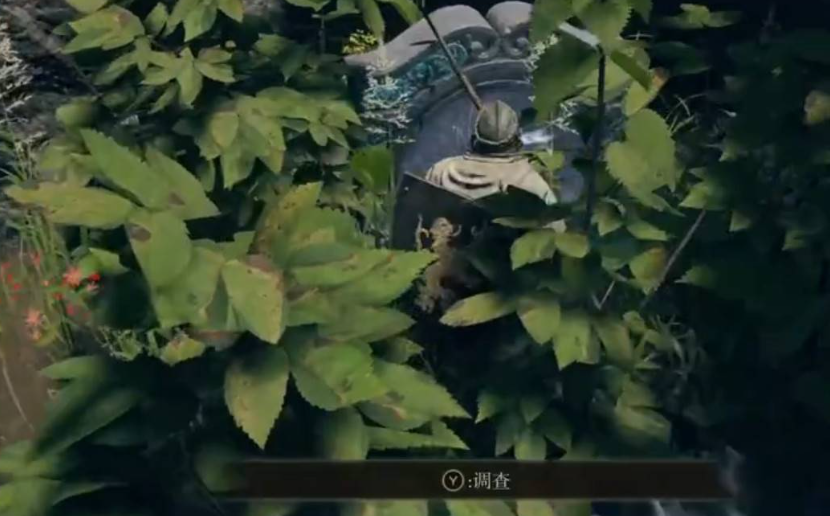 艾尔登法环龙墓白龙怎么打