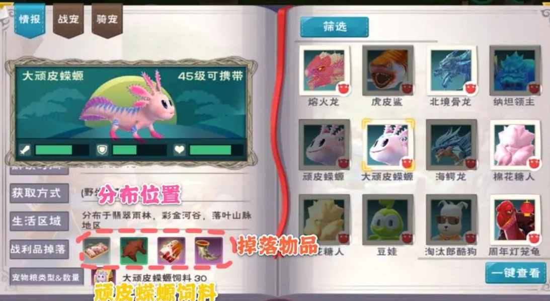创造与魔法蝾螈多少包保底 创造与魔法蝾螈多少包保底