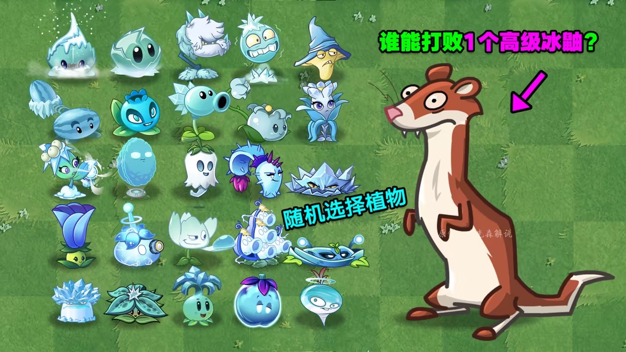 植物大战僵尸冰鼬怎么打