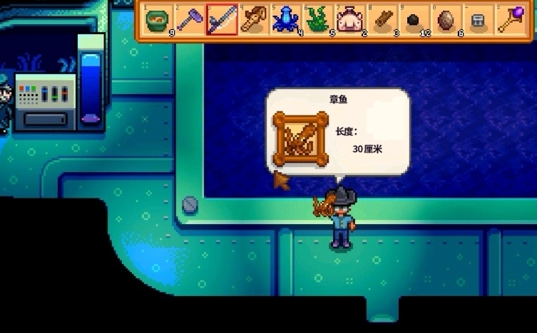 星露谷物语怎么钓太阳鱼