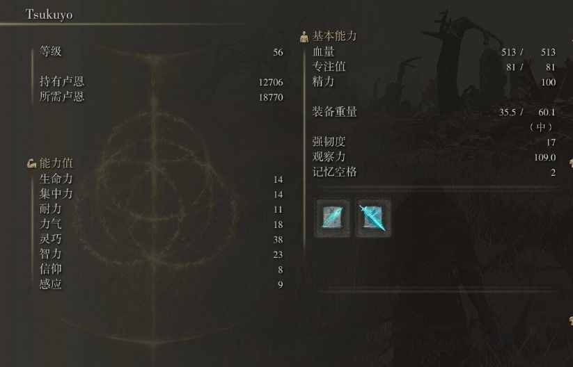 艾尔登法环法师装备推荐加点有哪些