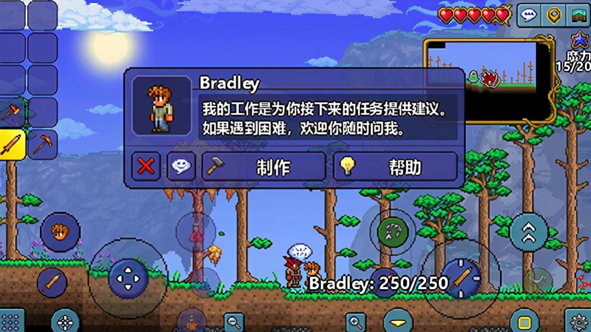 泰拉瑞亚新手干什么