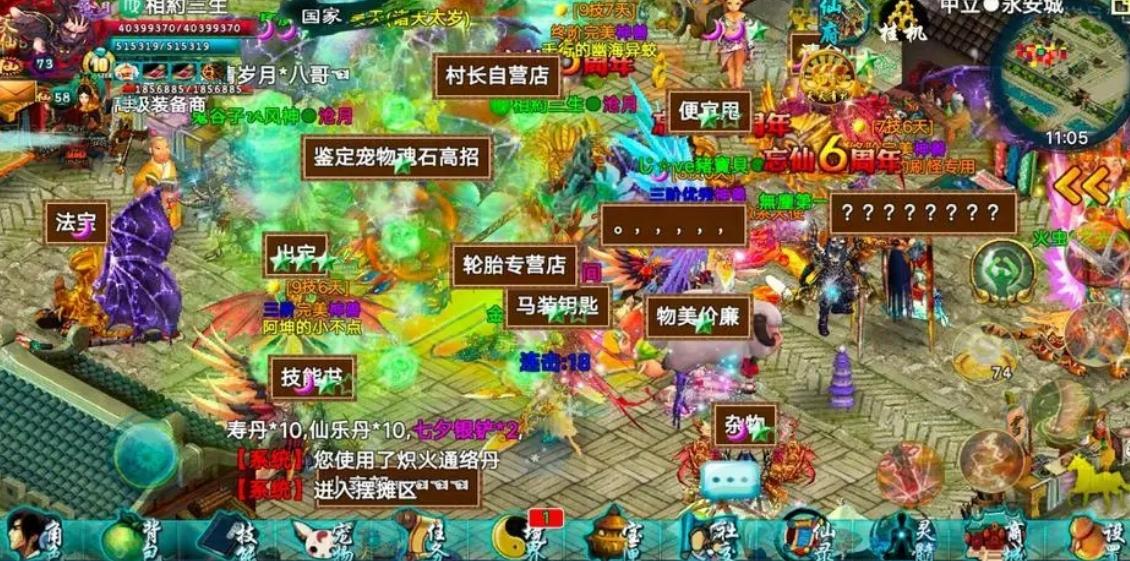 忘仙宠物画仙带什么饰品