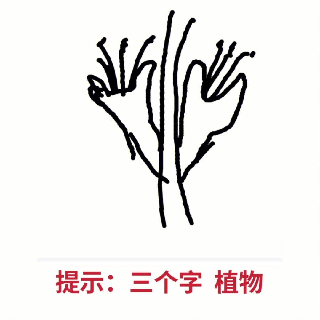 你画我猜这个游戏怎么玩的