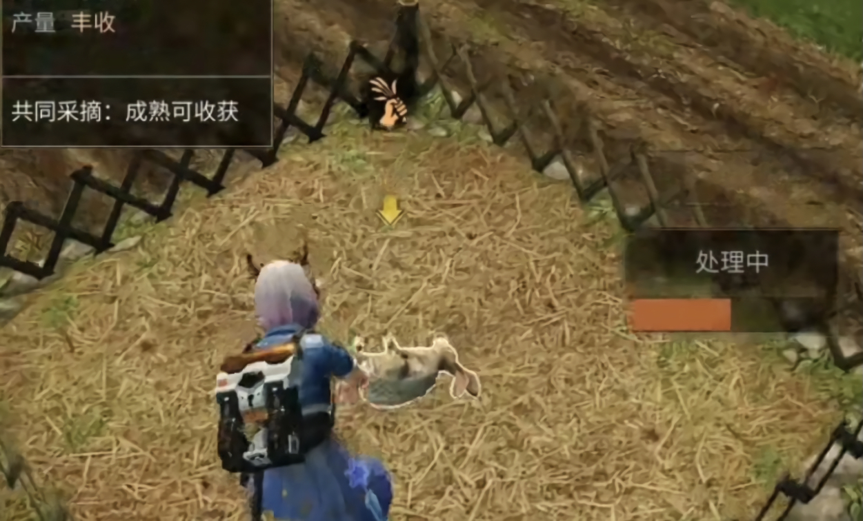 明日之后兔子多久刷新