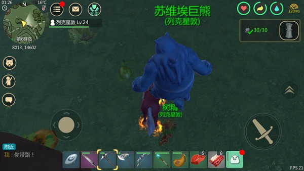 创造与魔法蓝熊要如何驯服