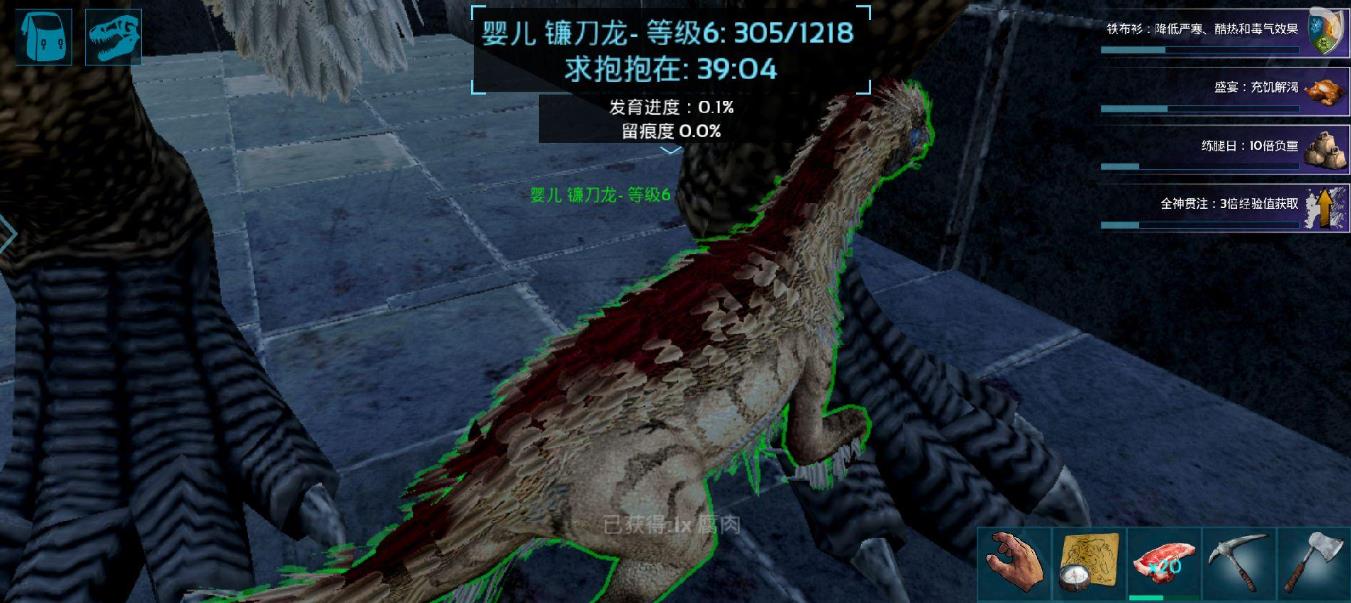 方舟生存进化怎么养龙
