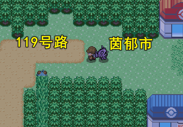 口袋妖怪火红气势头带在哪
