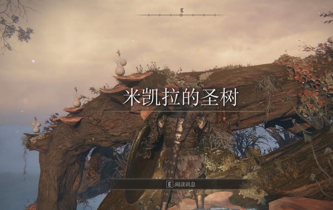 艾尔登法环烧树之前要注意什么
