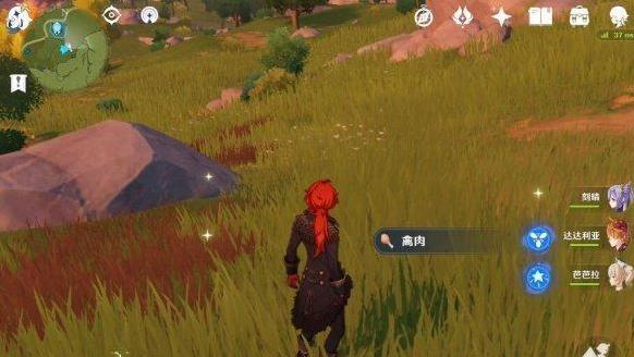 原神中怎么获得禽肉