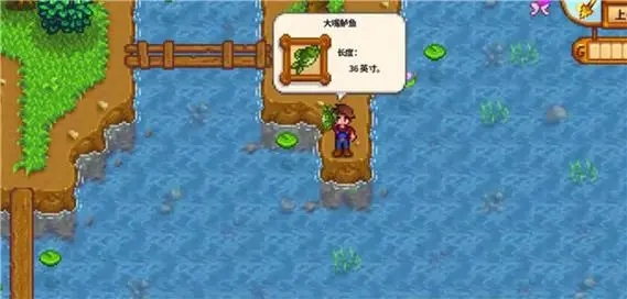 星露谷物语钓鱼怎么这么难