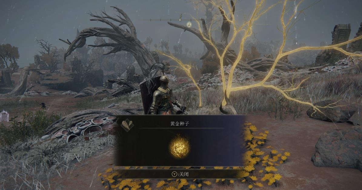艾尔登法环黄金种子怎么获得