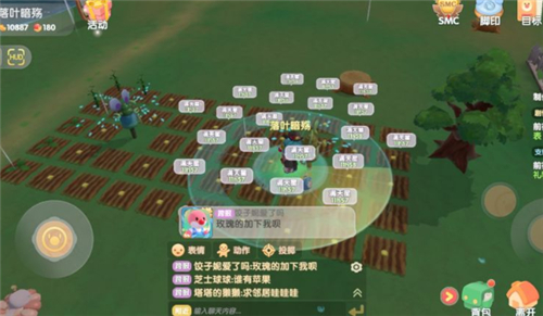 摩尔庄园枫树种子怎么获得