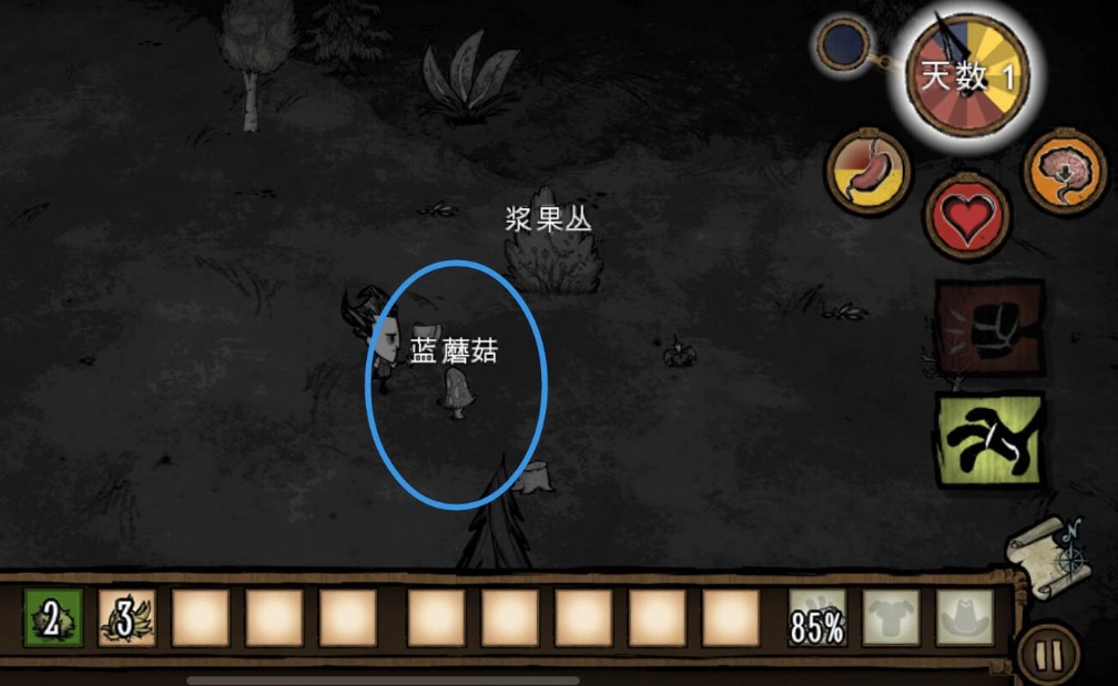 饥荒蘑菇有什么效果