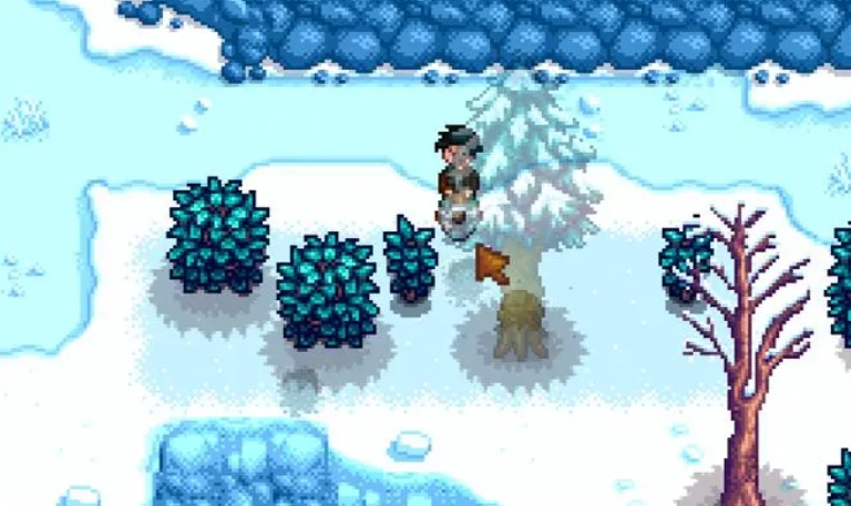星露谷物语雪山药怎么获取
