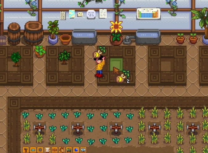 星露谷物语果树有必要种植吗