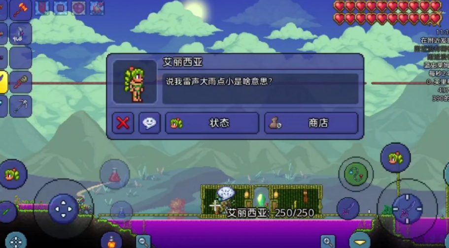 泰拉瑞亚服装商有哪些特性
