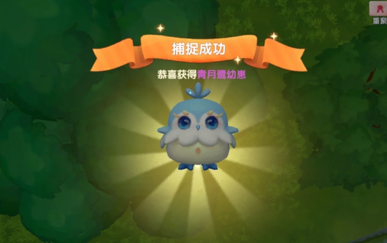 摩尔庄园普通灵兽怎么养成