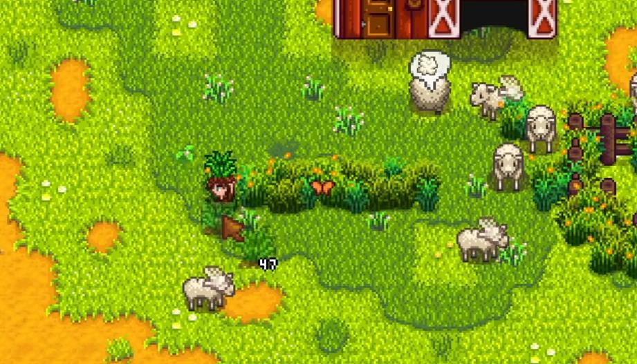 星露谷物语绵羊流怎么玩 星露谷物语绵羊流怎么玩