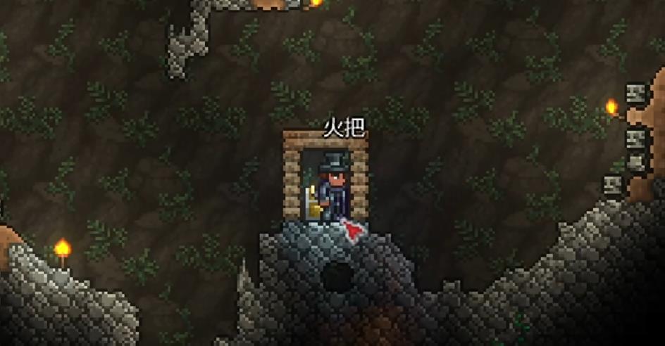 泰拉瑞亚特殊隐藏成就怎么获得