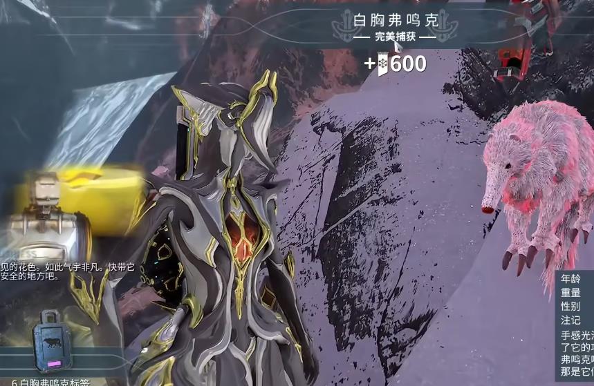 星际战甲动物怎么抓 星际战甲动物怎么抓