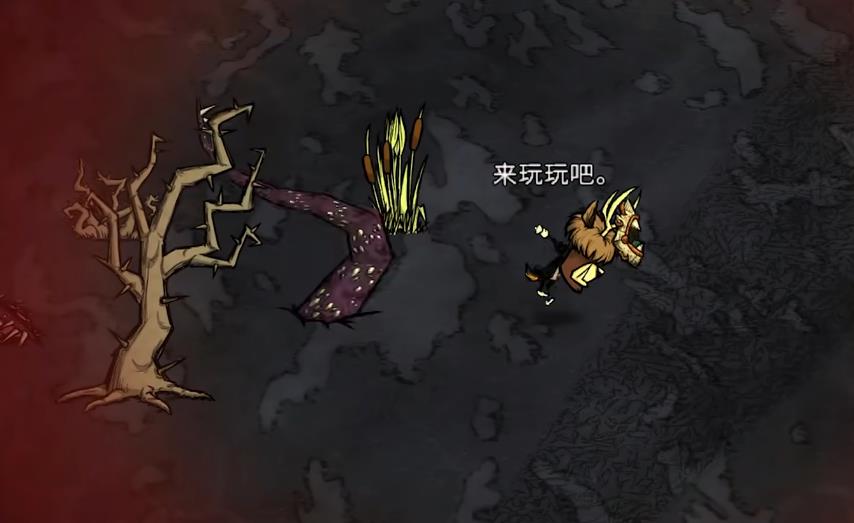 饥荒高阶护甲有哪些