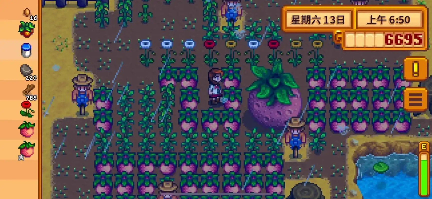 星露谷物语果树如何获取与种植 星露谷物语果树如何获取与种植