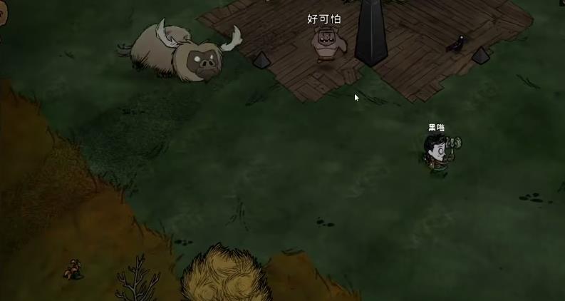 饥荒薇洛最佳开局是什么