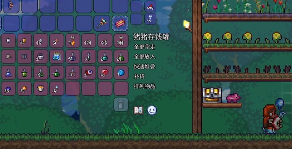 泰拉瑞亚随身储物空间怎么提升