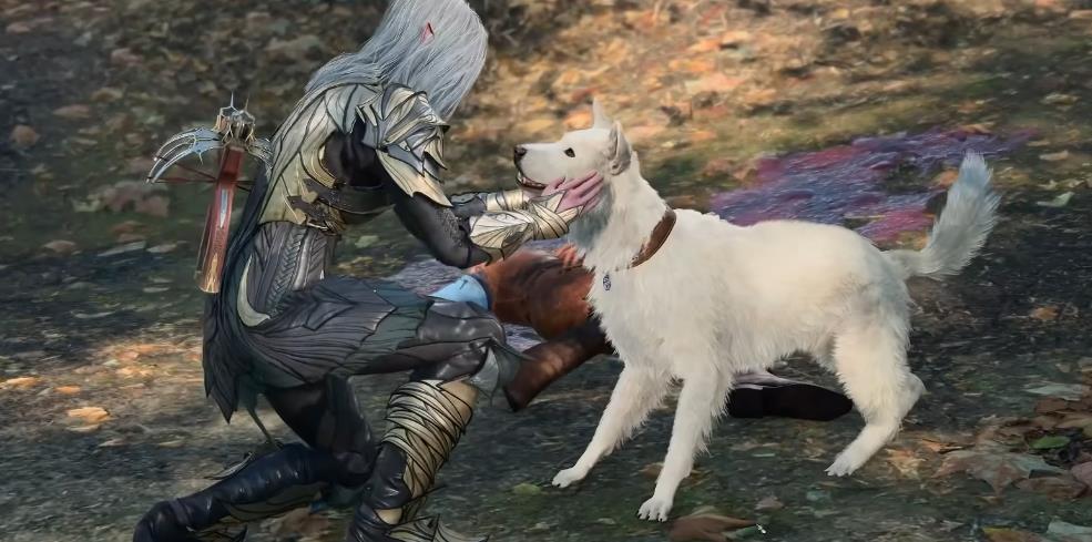 博德之门3吟游诗人战弓流怎么玩 博德之门3吟游诗人战弓流怎么玩