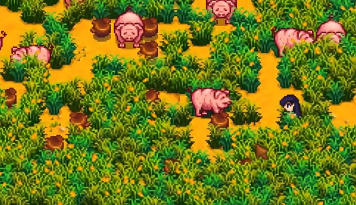 星露谷物语养猪流怎么玩