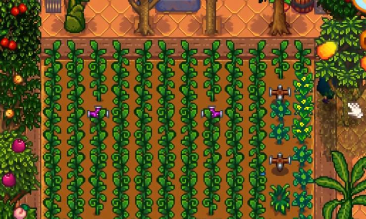 星露谷物语下矿掉落戒指有哪些 星露谷物语下矿掉落戒指有哪些