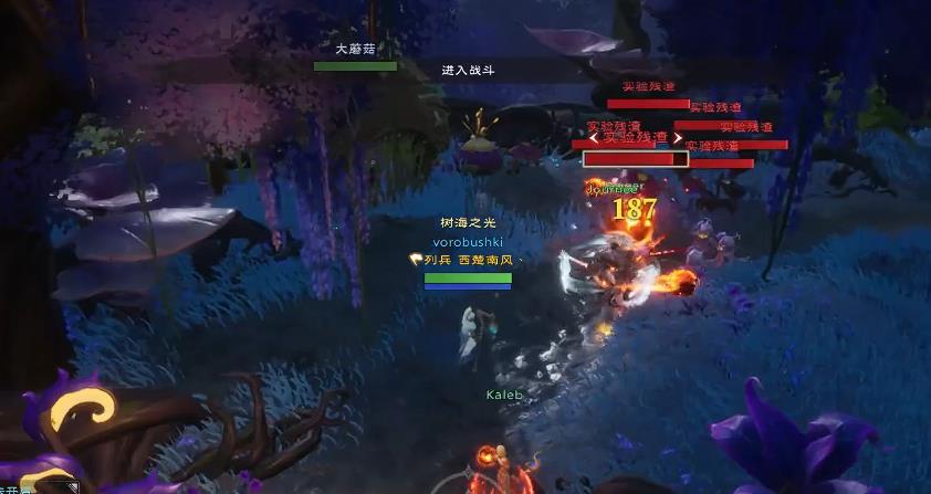塔瑞斯世界埃克斯硬木怎么打