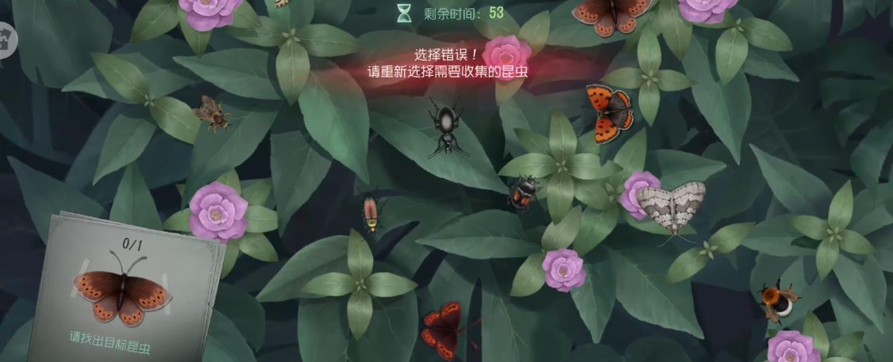 第五人格普林尼的标本怎么玩